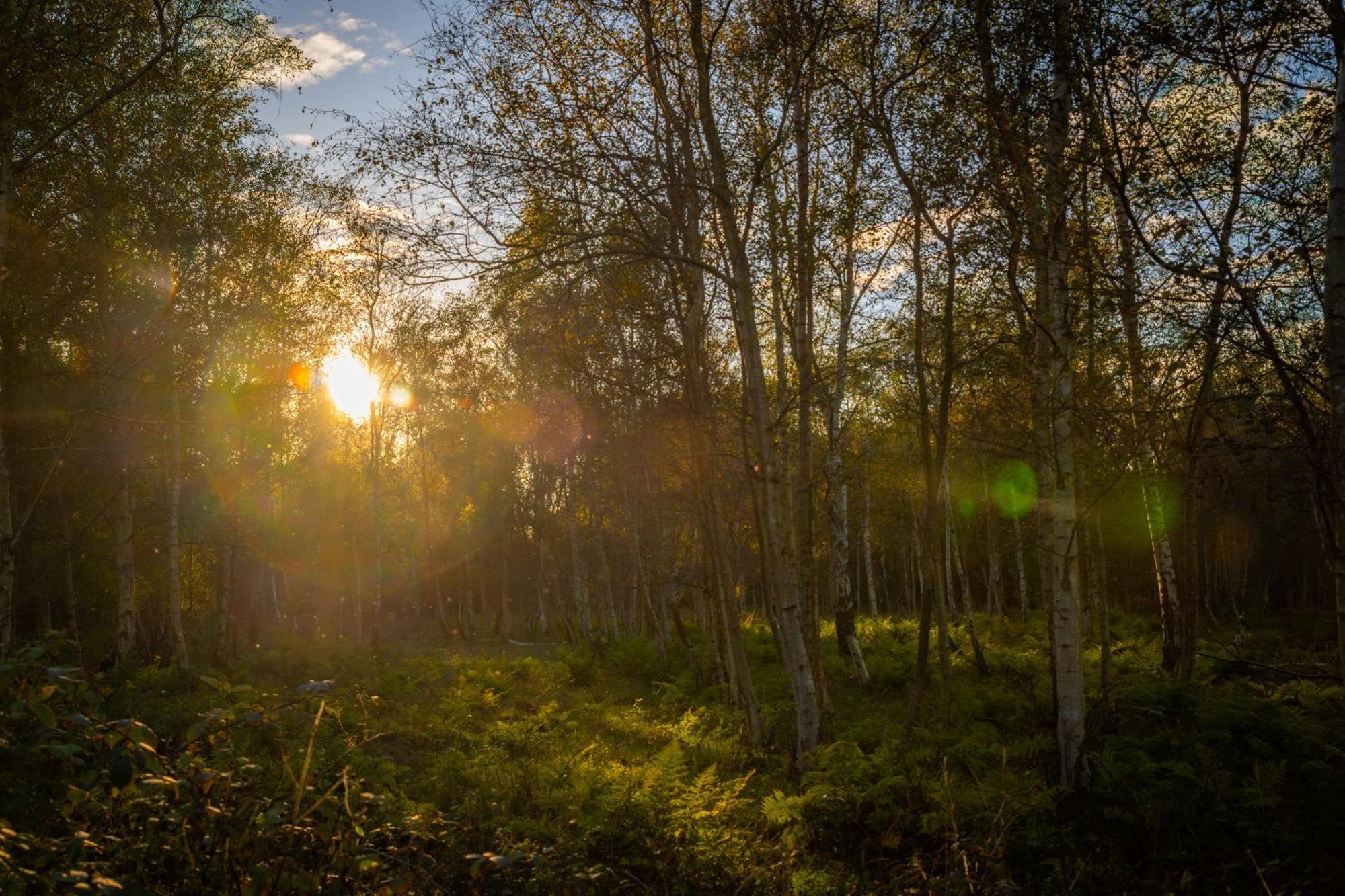 Camping De Brem レーネスセ エクステリア 写真